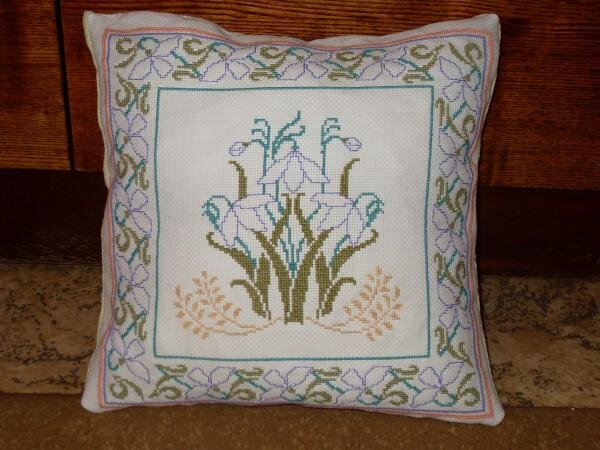 picture.php?albumid=25&pictureid=1143